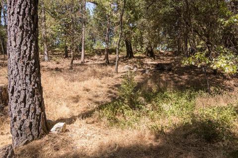 3140 Rolling Hills Dr, Georgetown, CA 95634 photo 46