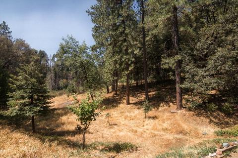 3140 Rolling Hills Dr, Georgetown, CA 95634 photo 50