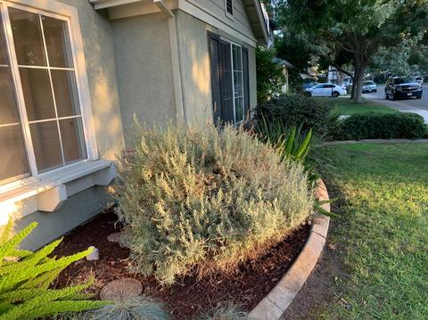 1707 Milestone Cir, Modesto, CA 95357 photo 13