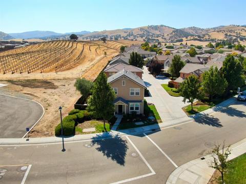 20873 Grapevine Dr, Patterson, CA 95363 photo 31