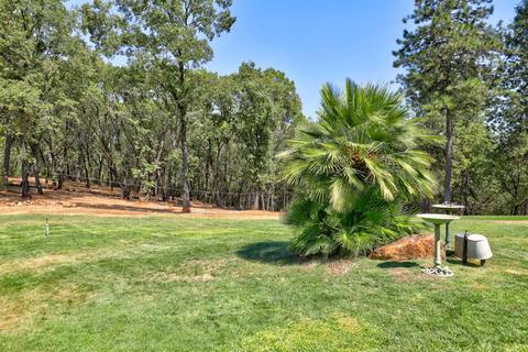1370 Sage Rd, Colfax, CA 95713 photo 49