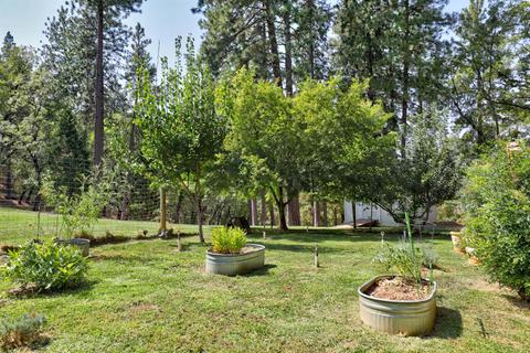 1370 Sage Rd, Colfax, CA 95713 photo 48