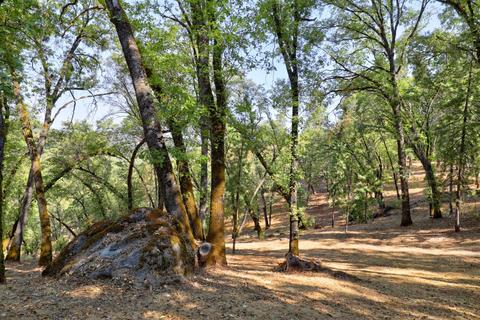 1370 Sage Rd, Colfax, CA 95713 photo 54