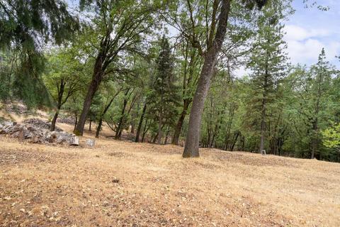 6161 Mosquito Rd, Placerville, CA 95667 photo 36