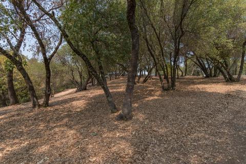 3040 Silverlode, Placerville, CA 95667 photo 24