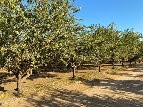 1740 Reilly Rd, Merced, CA 95341 photo 13