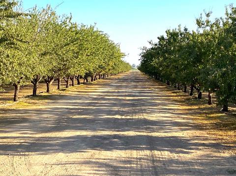 1740 Reilly Rd, Merced, CA 95341 photo 12