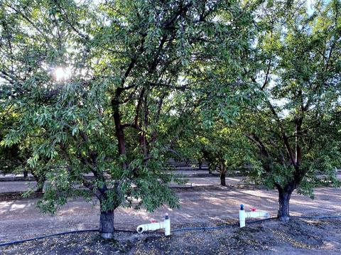 1740 Reilly Rd, Merced, CA 95341 photo 17