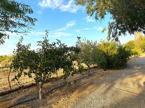 1740 Reilly Rd, Merced, CA 95341 photo 37