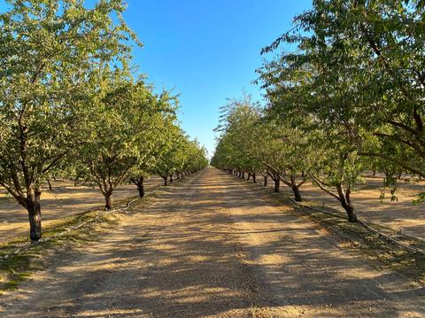 1740 Reilly Rd, Merced, CA 95341 photo 11