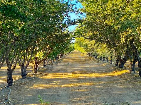 1740 Reilly Rd, Merced, CA 95341 photo 15