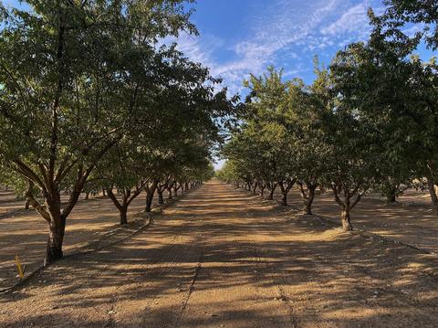 1740 Reilly Rd, Merced, CA 95341 photo 14
