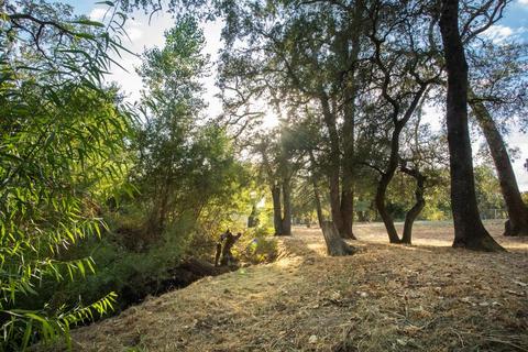 4787 King Rd, Loomis, CA 95650 photo 49