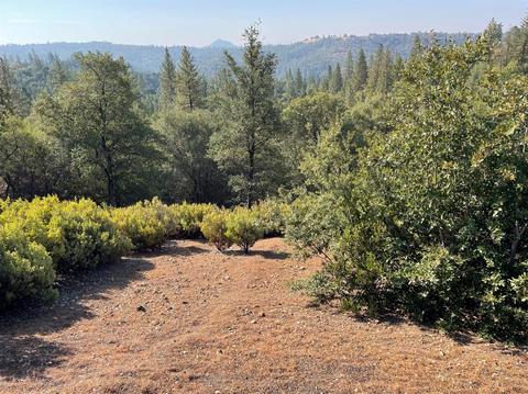 15270 Sutter Highlands Dr, Sutter Creek, CA 95685 photo 8