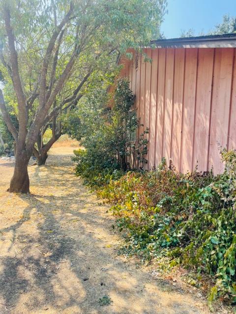 653 Little Ave, Gridley, CA 95948 photo 44