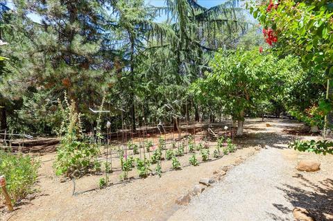 16084 Peninsula Ct, Grass Valley, CA 95949 photo 73