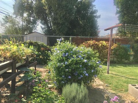 828 Virginia St, Manteca, CA 95337 photo 31
