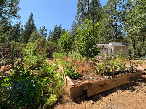 25570 Overland Dr, Volcano, CA 95689 photo 41