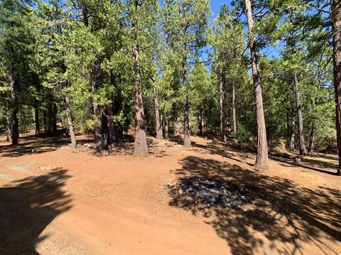25570 Overland Dr, Volcano, CA 95689 photo 36