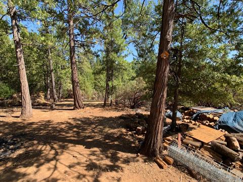25570 Overland Dr, Volcano, CA 95689 photo 37