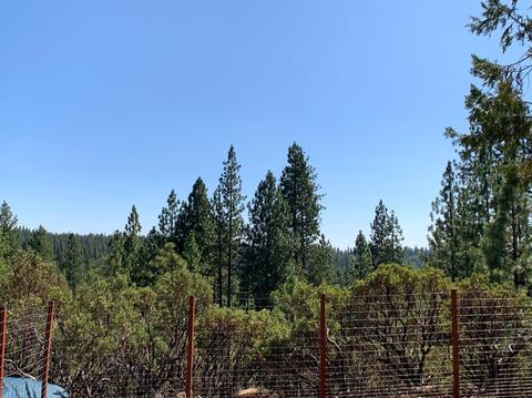 25570 Overland Dr, Volcano, CA 95689 photo 35