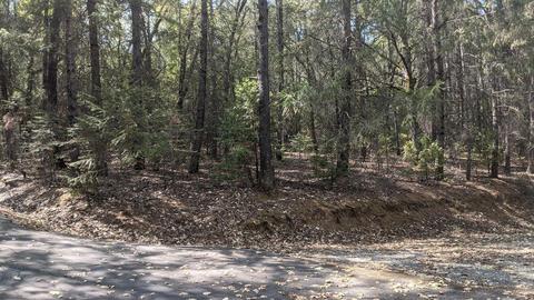 1400 Big Oak, Placerville, CA 95667 photo 28