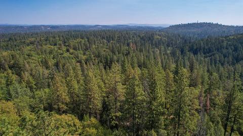 1400 Big Oak, Placerville, CA 95667 photo 44