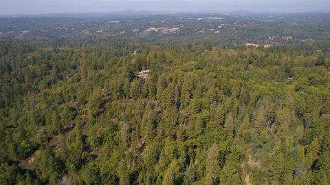 1400 Big Oak, Placerville, CA 95667 photo 36