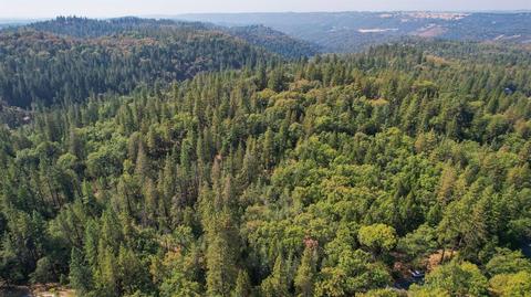 1400 Big Oak, Placerville, CA 95667 photo 35