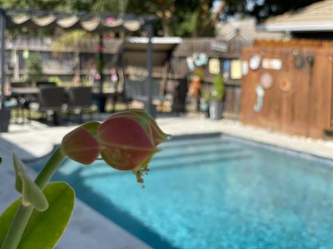 1103 E Springer Dr, Turlock, CA 95382 photo 2
