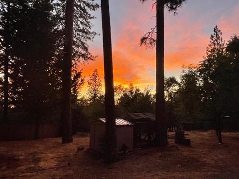 6424 Red Robin Rd, Placerville, CA 95667 photo 51