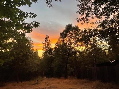 6424 Red Robin Rd, Placerville, CA 95667 photo 40