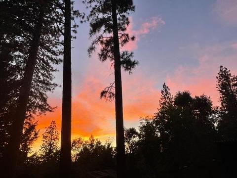 6424 Red Robin Rd, Placerville, CA 95667 photo 46