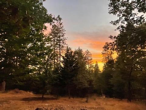 6424 Red Robin Rd, Placerville, CA 95667 photo 48