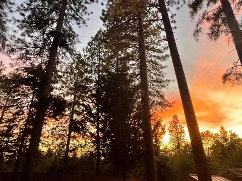 6424 Red Robin Rd, Placerville, CA 95667 photo 50