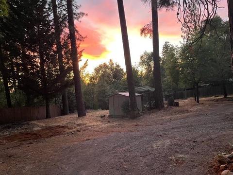 6424 Red Robin Rd, Placerville, CA 95667 photo 44