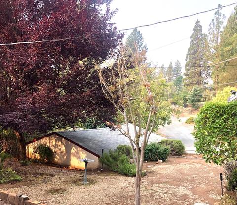 2875 Garden St, Placerville, CA 95667 photo 26