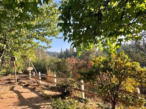 2875 Garden St, Placerville, CA 95667 photo 30