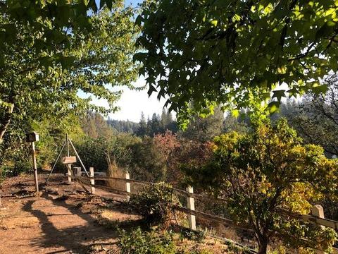 2875 Garden St, Placerville, CA 95667 photo 3