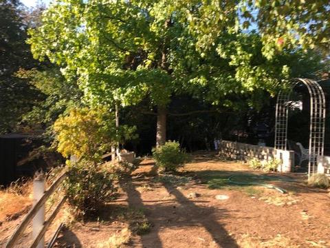 2875 Garden St, Placerville, CA 95667 photo 4