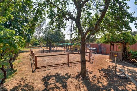 9177 Dillard Rd, Wilton, CA 95693 photo 78