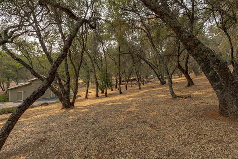 1291 Old Rock Bridge Rd, Placerville, CA 95667 photo 50