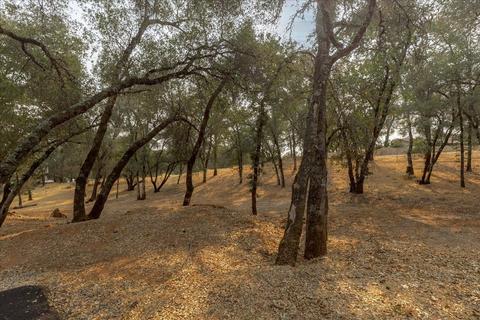 1291 Old Rock Bridge Rd, Placerville, CA 95667 photo 56