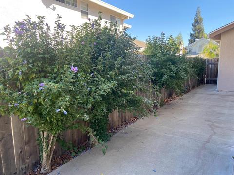 8517 Sutter Creek Way, Antelope, CA 95843 photo 39