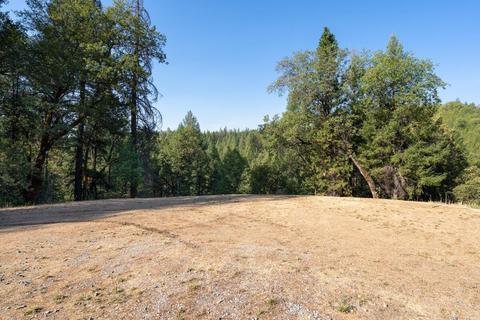 1783 Swansboro Rd, Placerville, CA 95667 photo 18