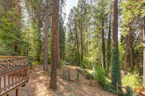 475 Alpine Dr, Colfax, CA 95713 photo 32