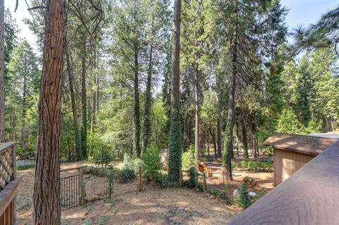 475 Alpine Dr, Colfax, CA 95713 photo 31