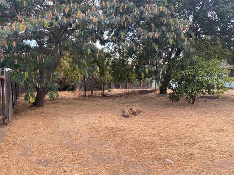 2457 Elm St, Sutter, CA 95982 photo 32