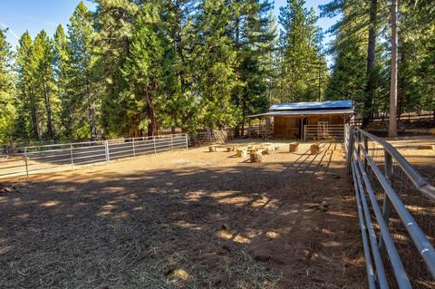 23823 Shake Ridge Rd, Volcano, CA 95689 photo 45