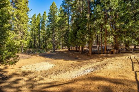 23823 Shake Ridge Rd, Volcano, CA 95689 photo 46